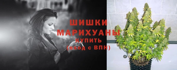 прущие крисы Сатка