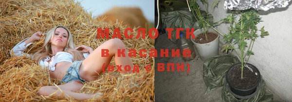 герыч Дубна
