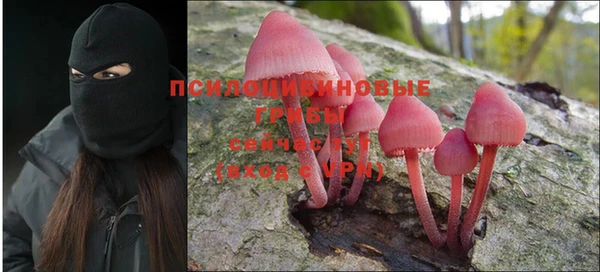 мескалин Сафоново
